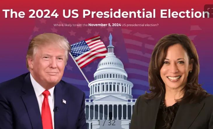 Analysis of the 2024 US Election