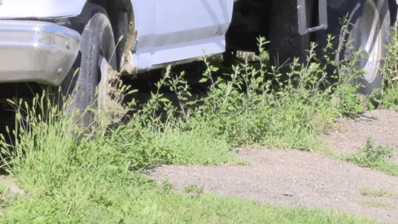 Weirton considers amending parking ordinance to address cars stored in backyards