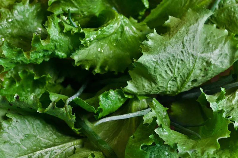 In good (enough) health