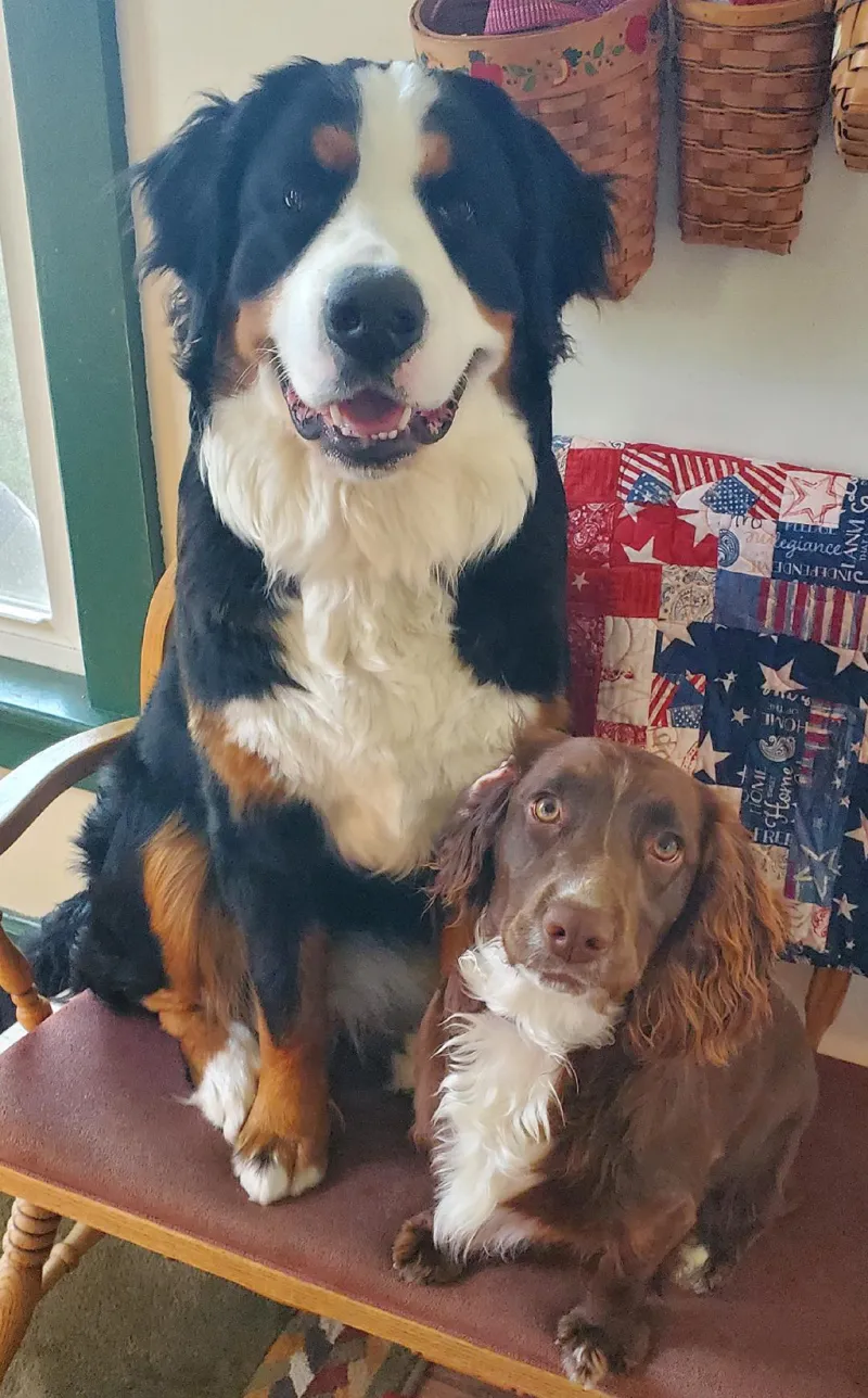 The one you choose: How a feisty runt puppy won a hunter's heart