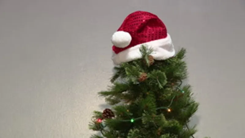 Steubenville Christmas in the Park still seeks vendors, donations