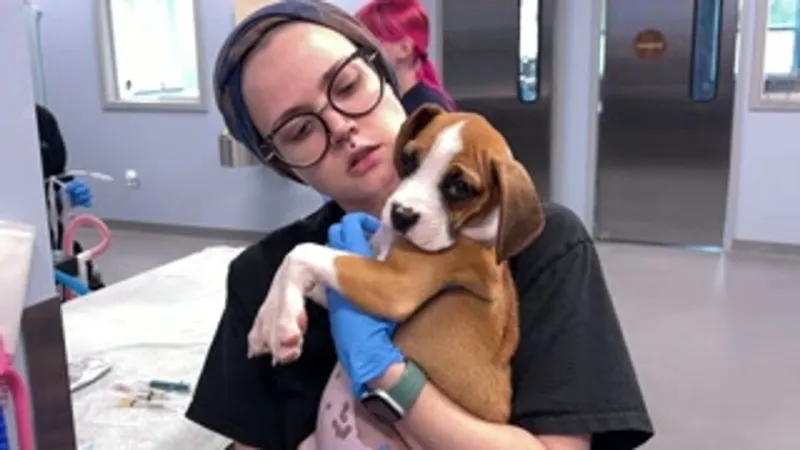 Inside Gigi's: How rescued dogs get care support and a path to adoption