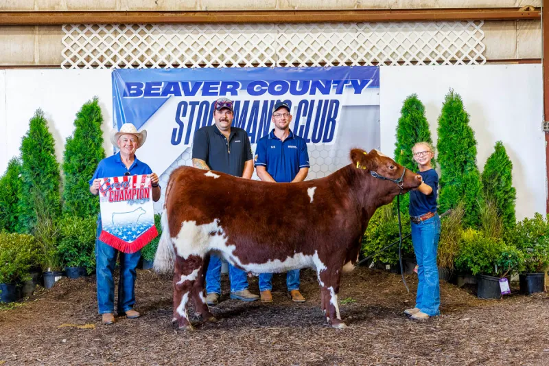 Beaver County Stockman's Club Sale at Hookstown Fair (Pa.)