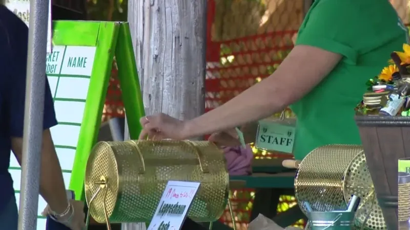 Glendale teams roll steel balls in Irish tradition during street competition