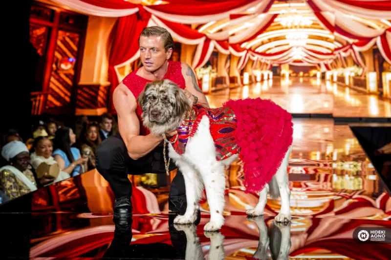 Columbus' Cutest K9 lands New York Fashion Week feature