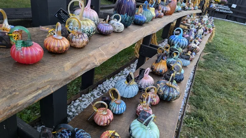 Jack Pine Glass Pumpkin Festival rescheduled to this weekend after flooding closure
