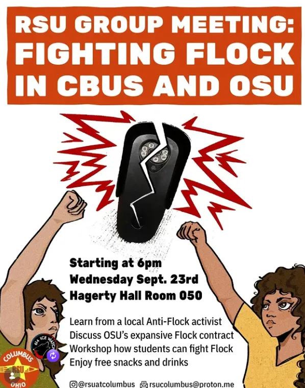 Fighting Flock Cameras