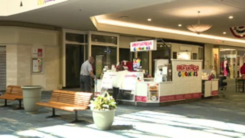 Toys 'R' Us to open new mall store, bringing nostalgia and popular brands to shoppers
