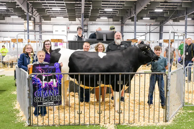 2026 Lorain County Fair Market Animal Auction results