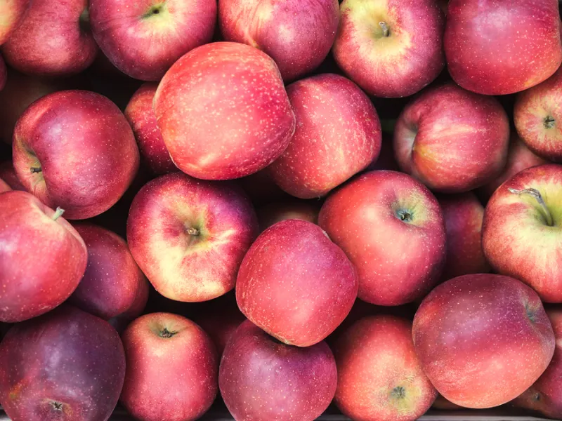Apple Picking Orchards in Northeast Ohio