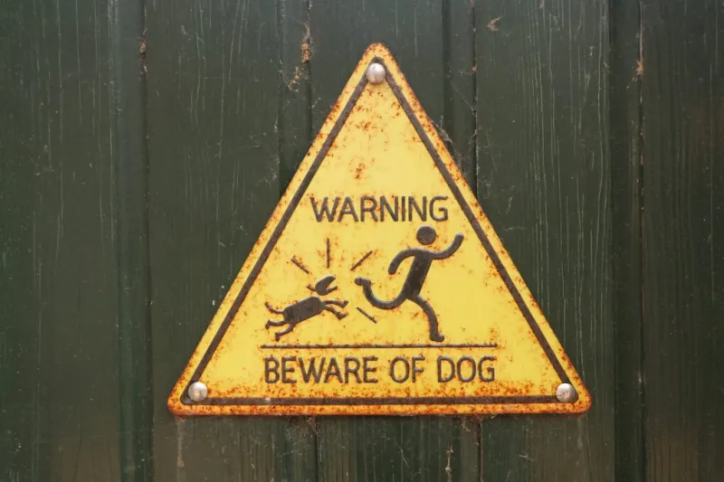 Ohioans more likely to be killed by dogs than residents of almost every other state, new study finds