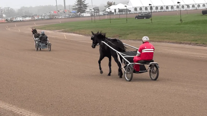 Rainy week gives way to dry track for Little Brown Jug at Delaware County Fairgrounds