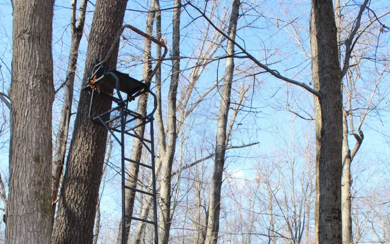 Essential tree stand safety tips to prevent hunting falls
