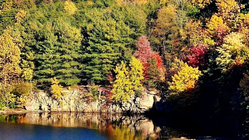 Fall Color Tracker: Where to spot the season's first changing leaves