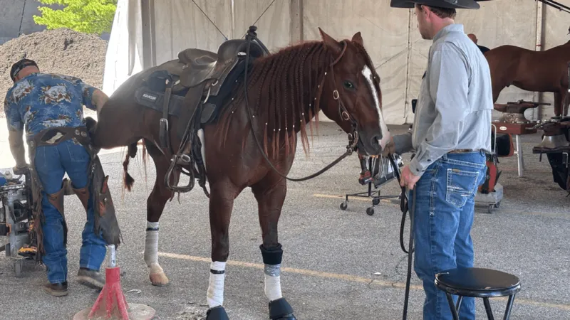 Western businesses and horseback riders prepare for Quarter Horse Congress in Columbus