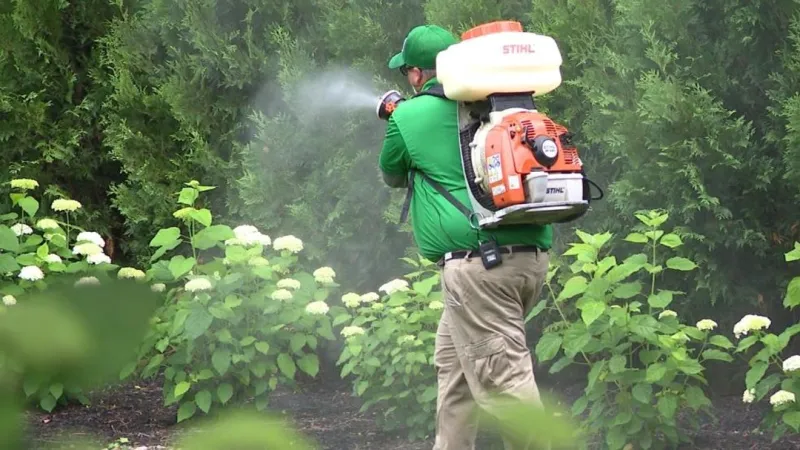 West Nile-positive traps prompt mosquito spray across parts of Hilliard and Dublin