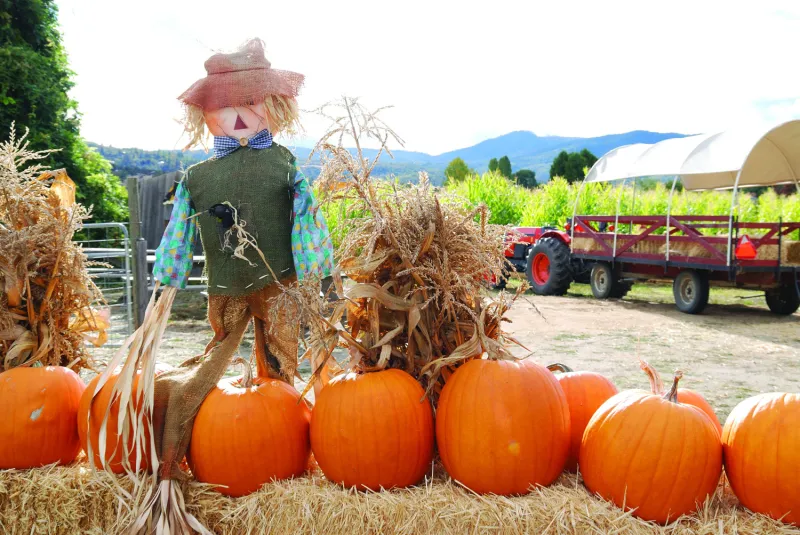 October 2026 Fall Fun Events in Northeast Ohio