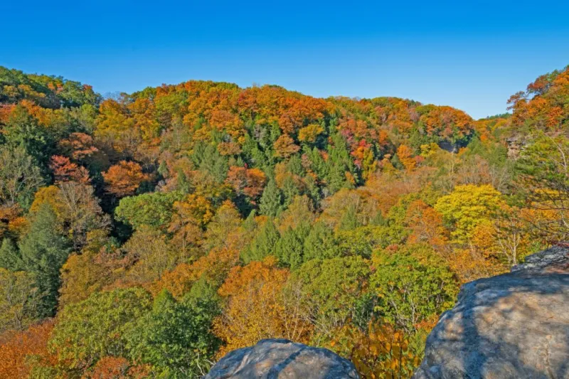 Ohio park ranked second best spot in the country to view fall colors