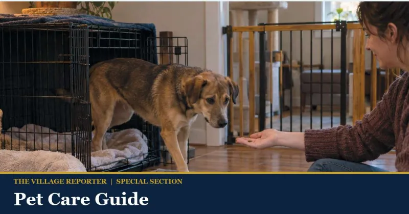 Pet Care Guide (Fall 2026)