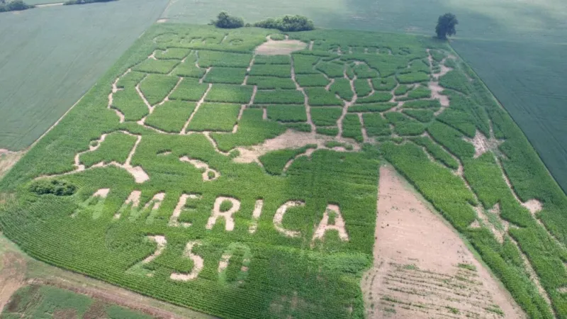 Local farm creates America 250 corn maze with all 50 states