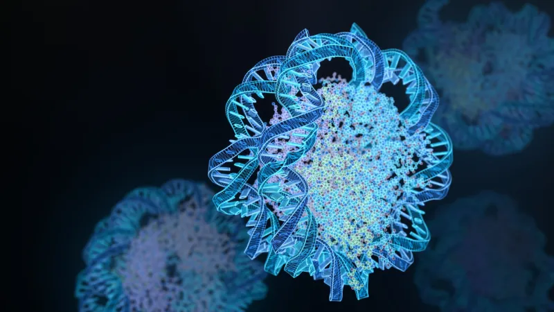 Protein key to cells' gene regulation needs a chaperone to do its job