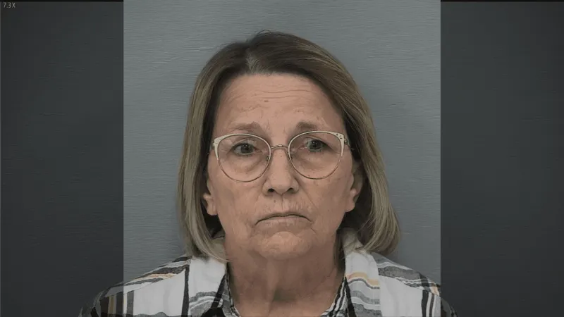 Former Delaware food pantry co-director indicted on felony charges after alleged theft