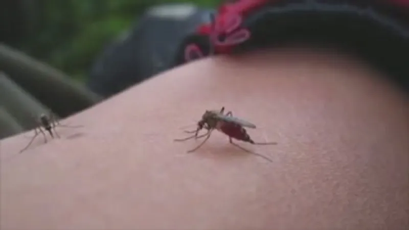 Columbiana County steps up mosquito testing after two West Nile cases in 3 years