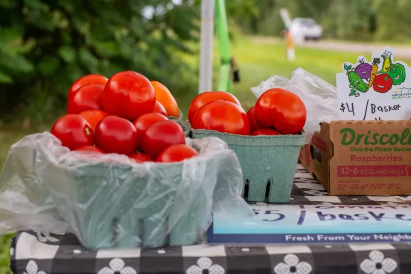 Farm market vendor 'closed for the year' after cash box stolen