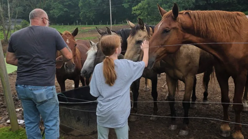 Mustang Ranch hopes to return bigger, better after storm destroyed training barn