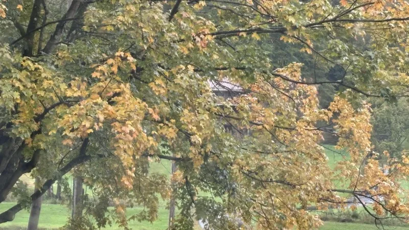 Fall Color Tracker: Central Ohio sees pockets of early, patchy color