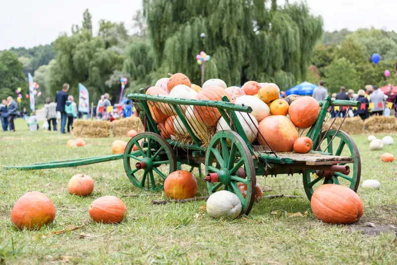 Things to Do This Weekend in Cincinnati and Dayton with Kids | October 2-4, 2026