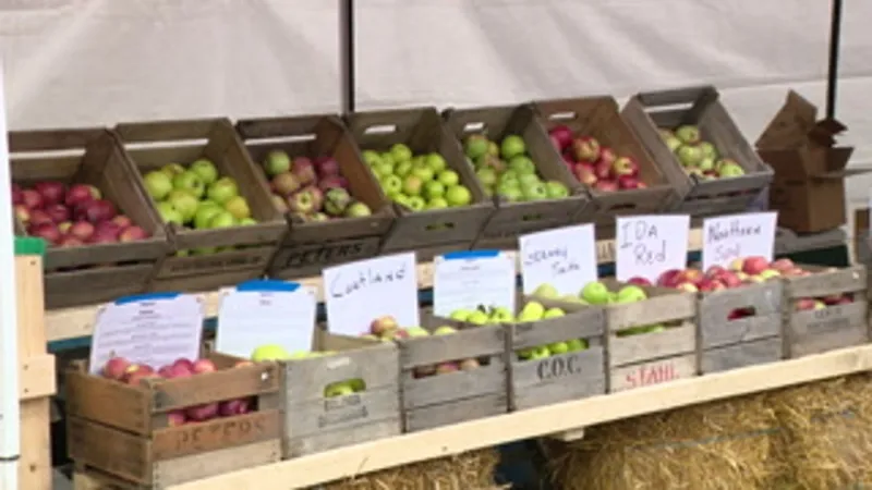 Wellsburg Applefest returns for 47th year with 800 bushels, seven apple varieties