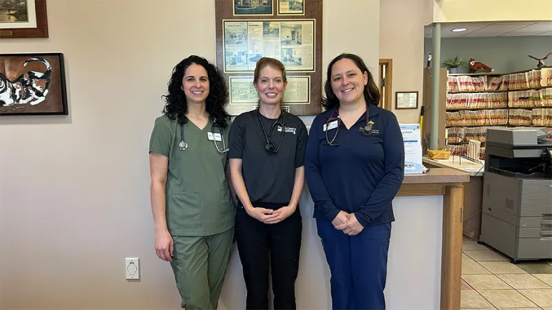 Veterinary Hospital Celebrates 50 Years in Business