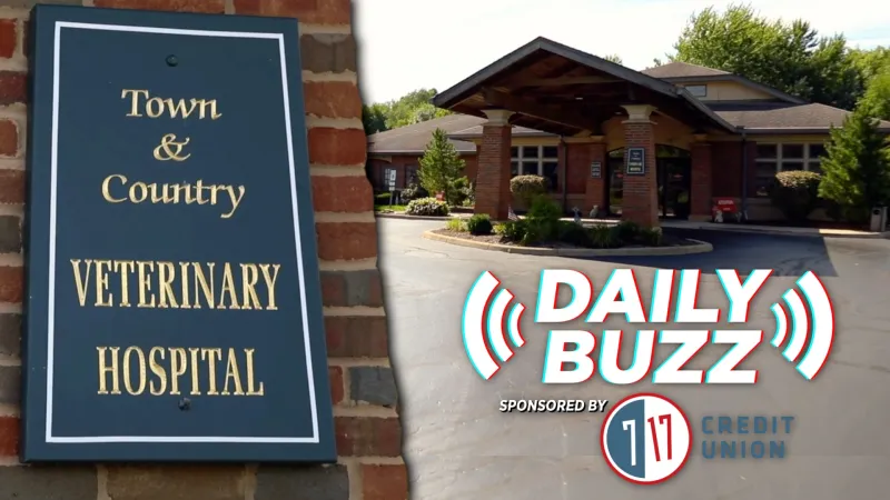 Town & Country Builds on 50 Years; Demand Grows for Tech Talent