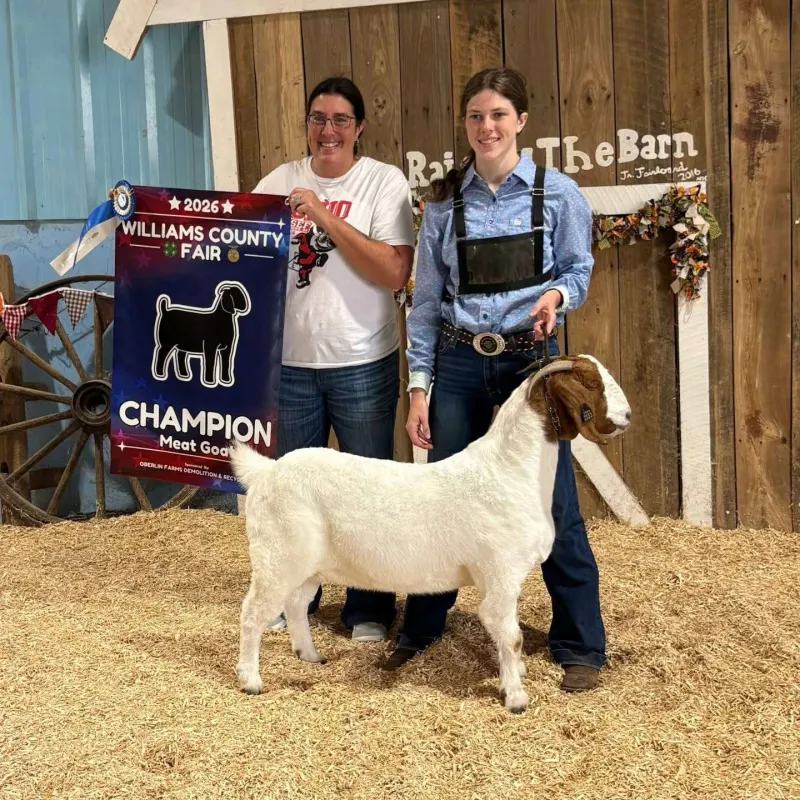 Millcreek-West Unity FFA Members Rack Up Awards At Williams County Fair