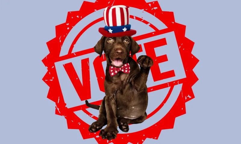 Grandview Heights holds its first-ever Dog Mayor race