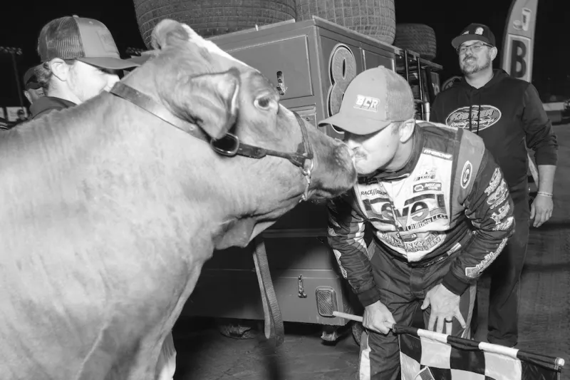The Racing Report: Kiss the Cow
