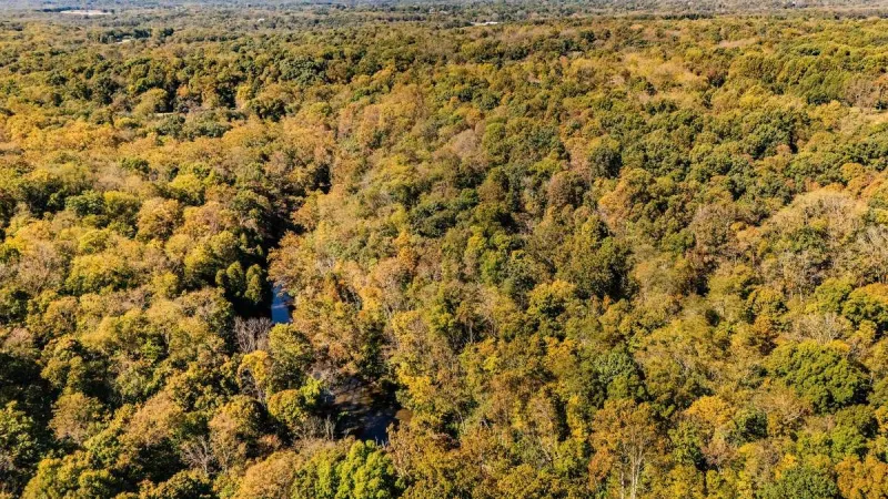 Ohio Fall Colors Brighten As Sugar Maples Turn Red And Orange
