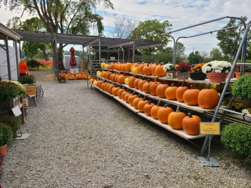 Central Ohio farm sells business, closes after 25 years