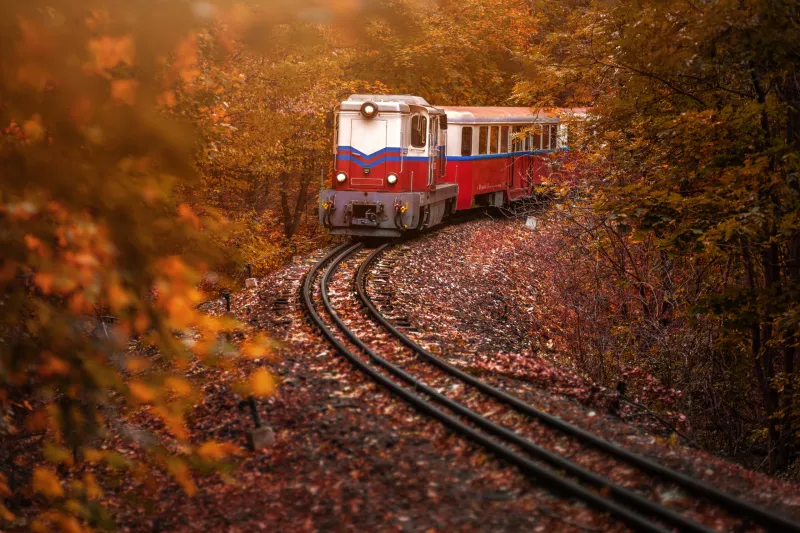 Book the Sitter for Lebanon's Bourbon Train