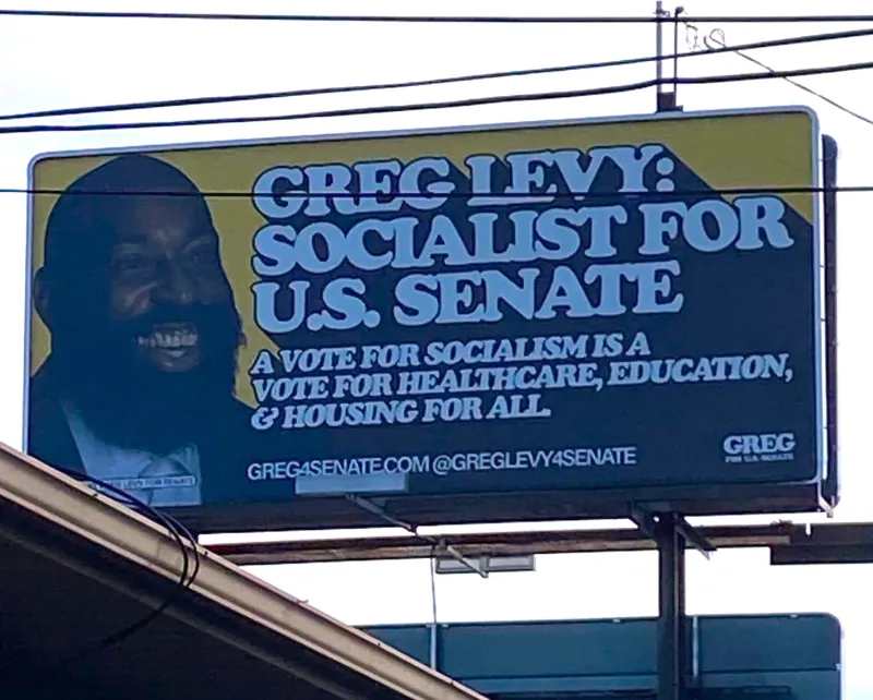"A racist caricature of our candidate" is a dirty trick says Greg Levy's campaign