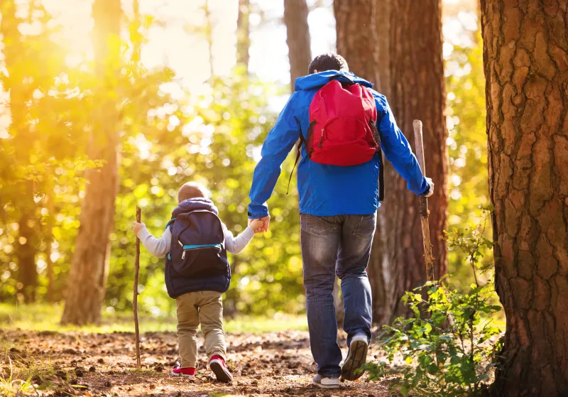 Best Places for a Fall Hike around Cincinnati