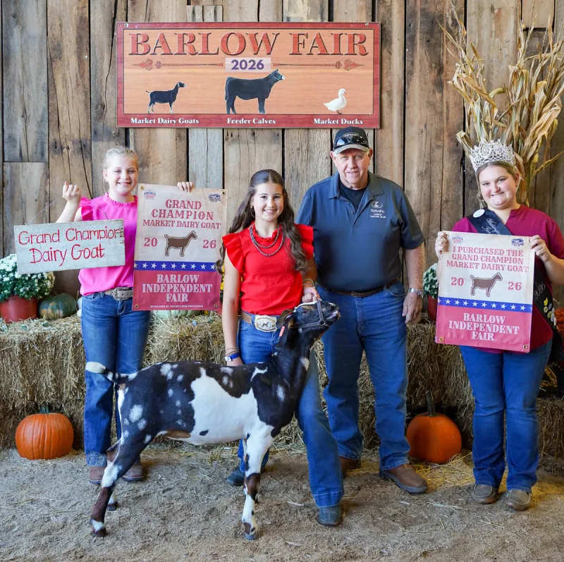 2026 Barlow Independent Fair Market Livestock Auction results