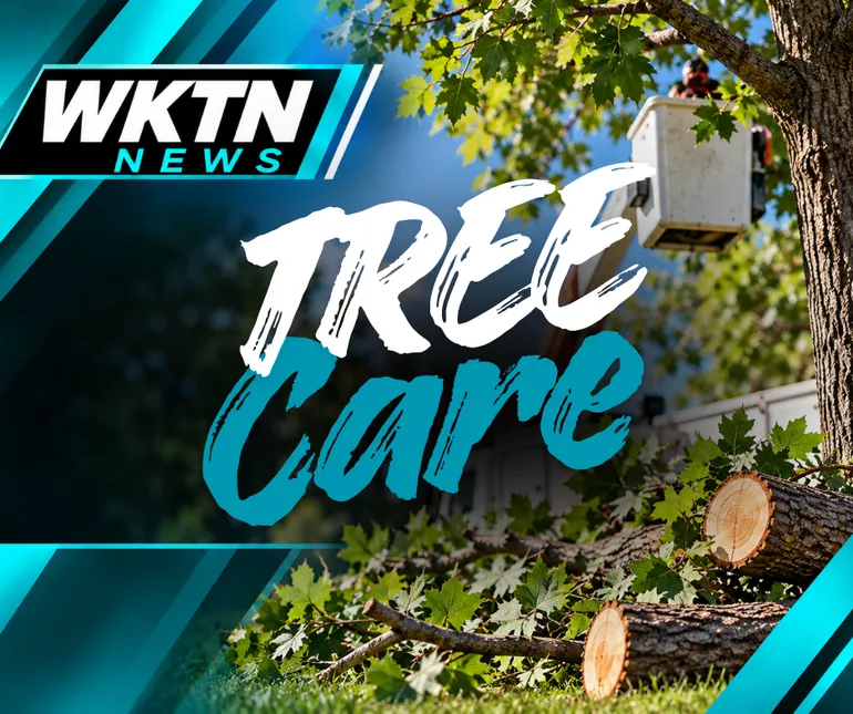 Ada Reminds Tree Care Companies of Village Licensing Requirements