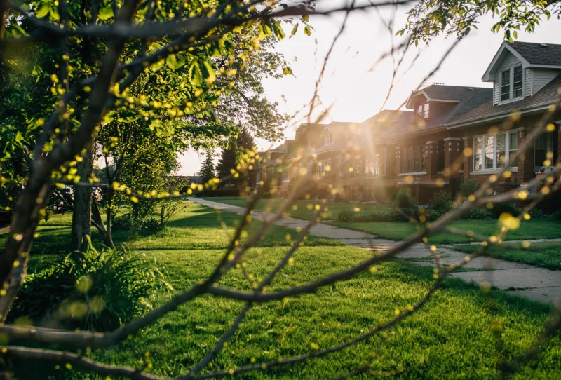 Green space is linked with fewer gun-related homicides - but not everywhere