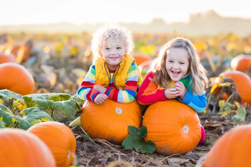 Northeast Ohio Fall Fun: Pumpkin Patches & Festivals