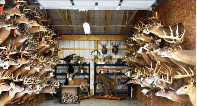 Ohio Business