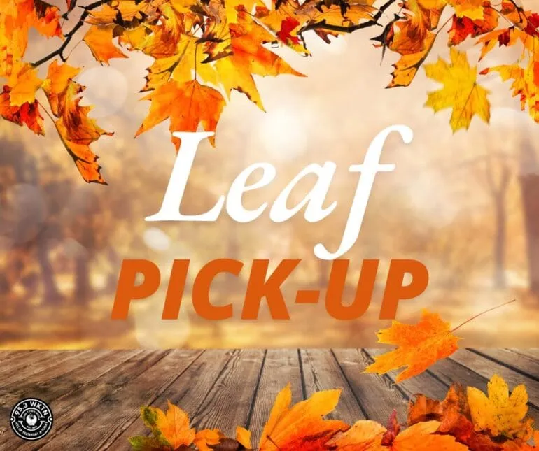 Ada Announces Fall Leaf Collection Schedule Beginning October 26