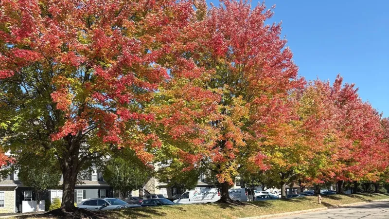 Fall Color Tracker: Where to see vibrant shades of red, gold and orange in Central Ohio