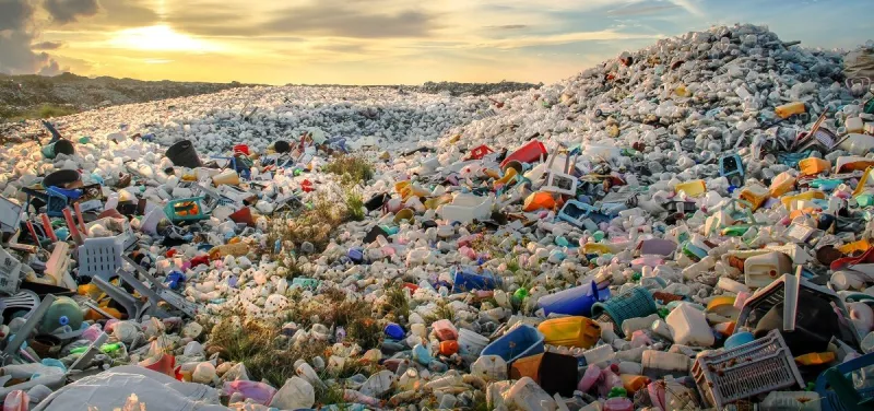 Modern Science: An Ohio University researcher is looking into how the chemicals in plastic are attaching to our bodies